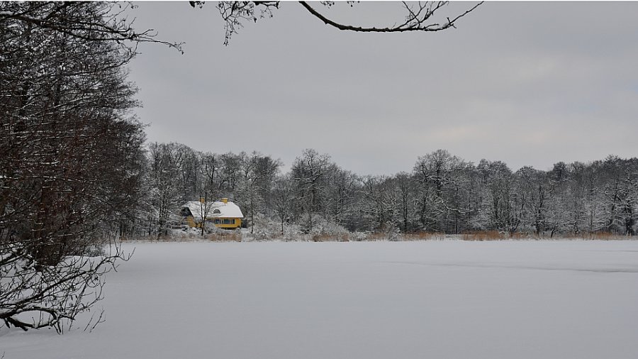 øhuset vinter 2010